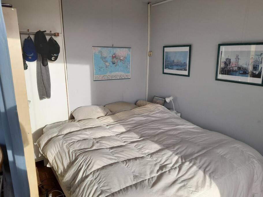 Sunny Daire Anvers Dış mekan fotoğraf